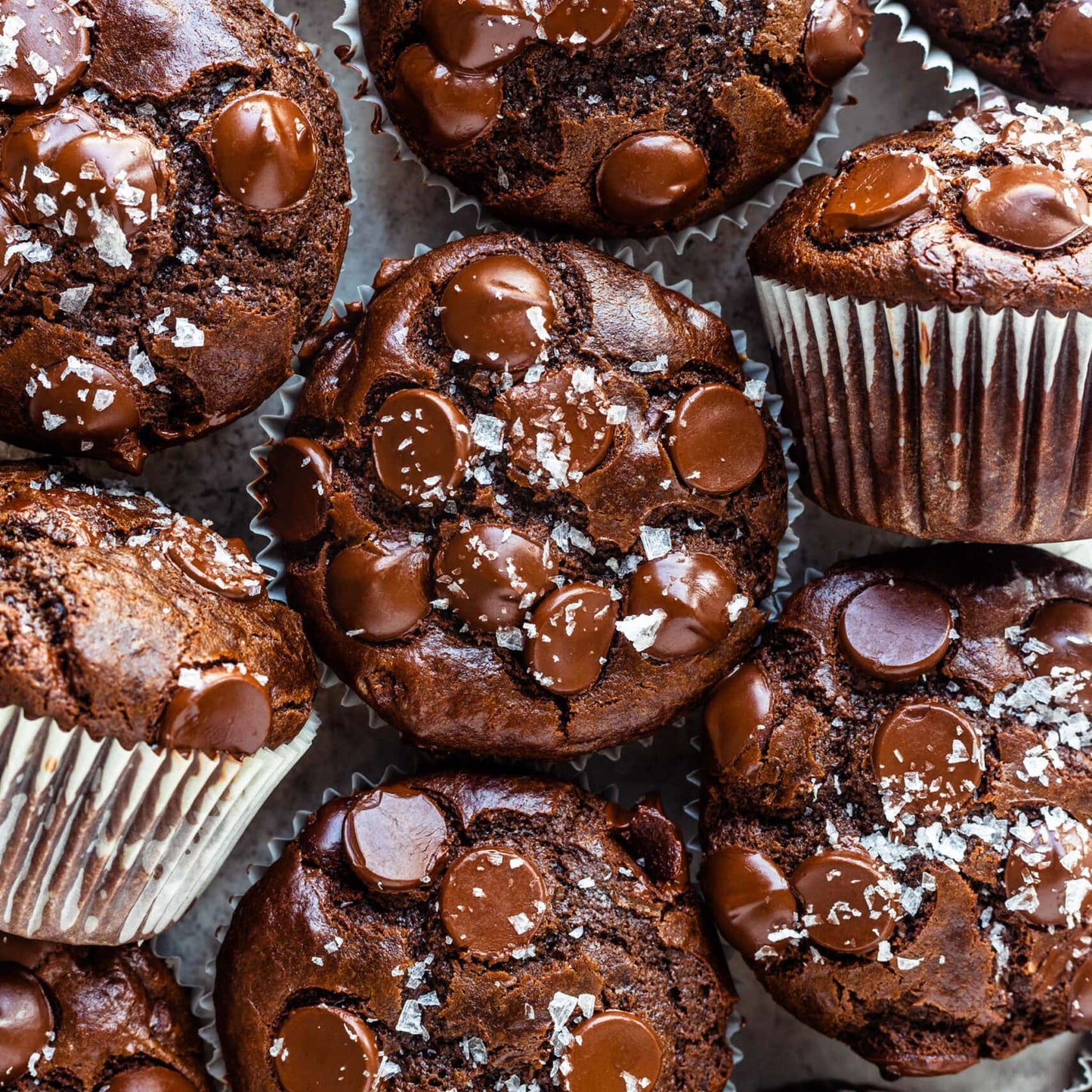 Chocolate Muffin
